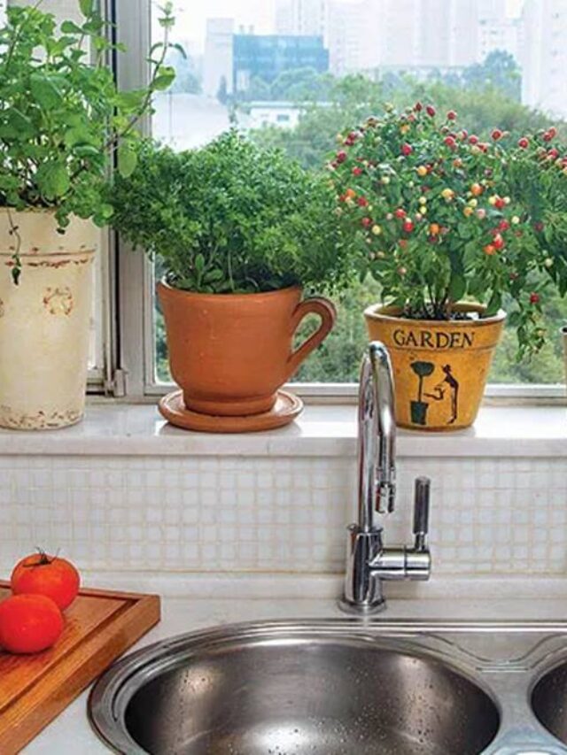 Horta em Apartamento: Método Inovador Para Criar Uma em Espaços Pequenos