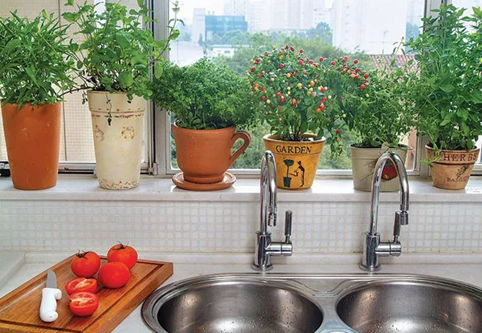 horta vertical para apartamento Como fazer uma horta em apartamento? Veja o que priorizar