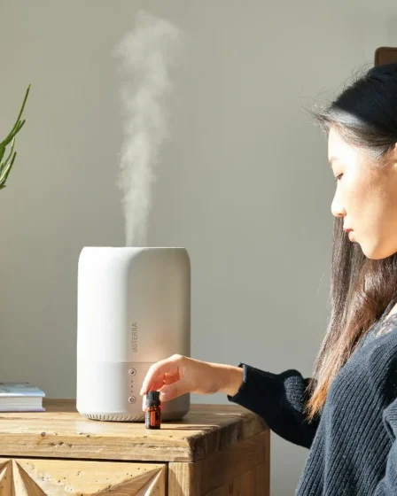 Como usar difusor de ambientes