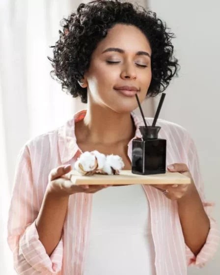 melhor óleo essencial para utilizar em seu aromatizador de ambientes