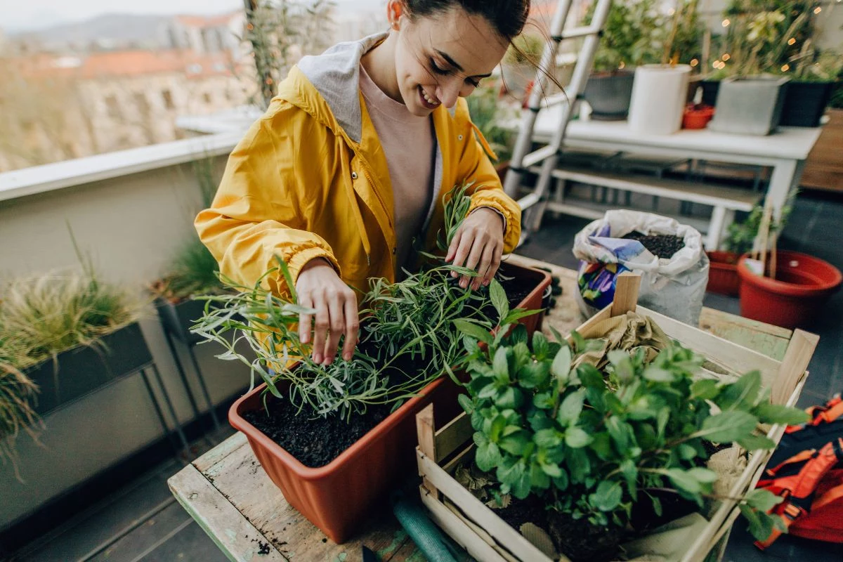 Como Cultivar um Mini Jardim Encantador