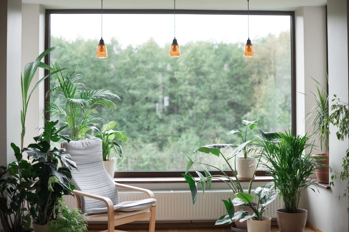 Invista em plantas e jardinagem