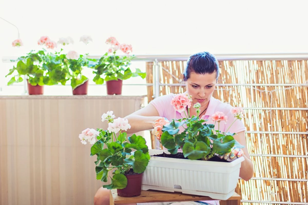 Varanda com jardim Cultivar um Mini Jardim Encantador