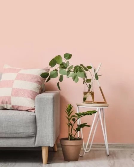 Rosa Millennial