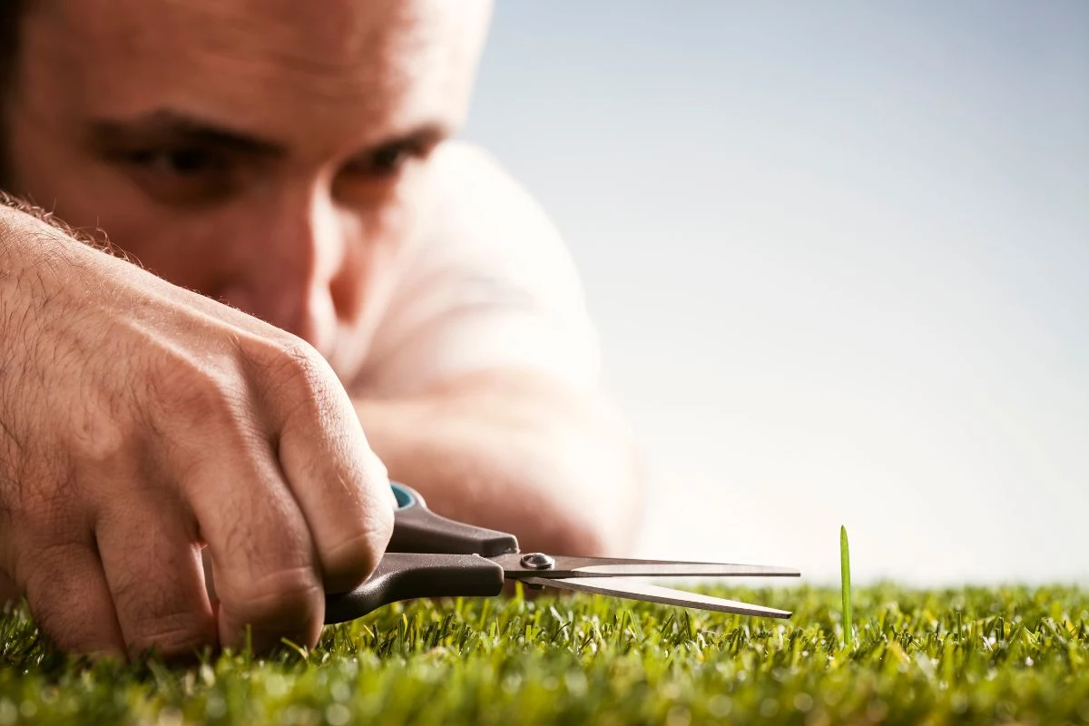 Como corrigir irregularidades no gramado
