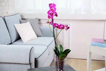 Decorar sua Casa para Vender Rapido e por um Valor Maior