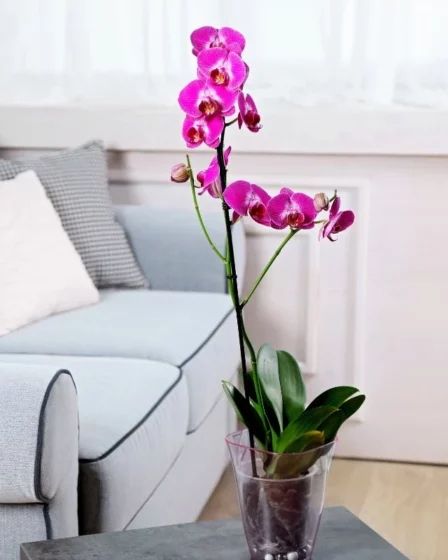 Decorar sua Casa para Vender Rapido e por um Valor Maior
