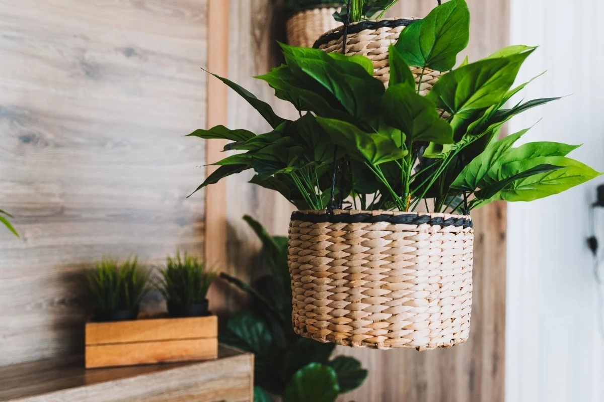 Plantas artificiais de baixa qualidade 40 Itens de Decoração Brega Para Não Ter Em Casa