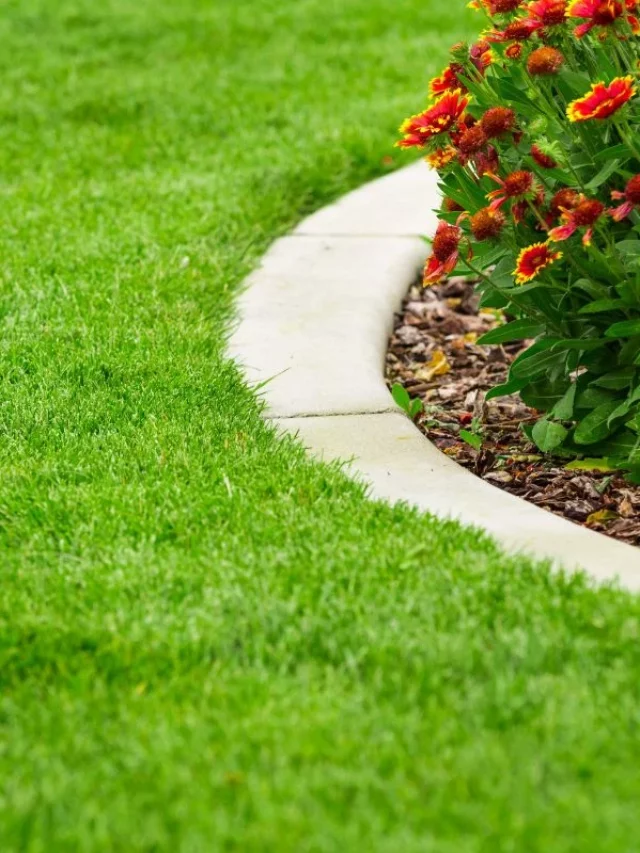 Grama Verdinha: 4 Macetes de Jardineiro Para Manter Ela Bonita