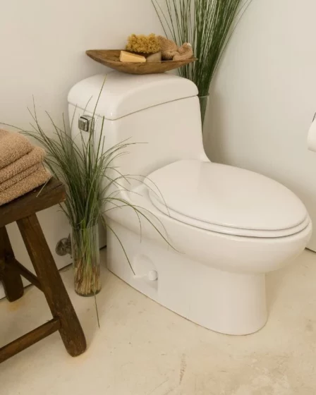 Bacias Sanitárias osTipos Mais Usados Em Banheiros Modernos
