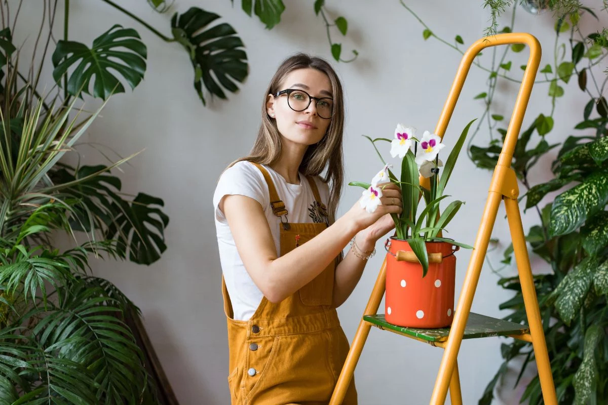 Como se deve cuidar de uma orquídea