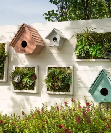 Dicas para o Sucesso do Jardim Vertical
