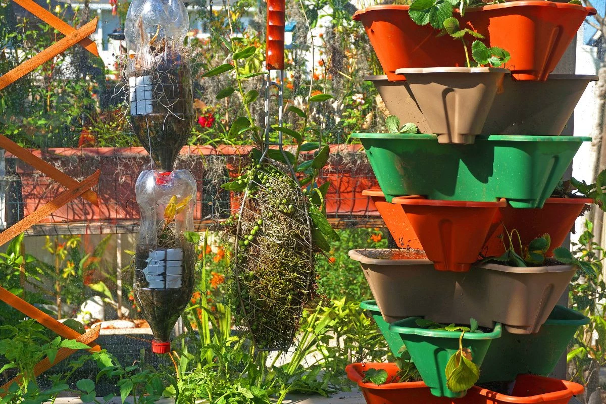 Escolha de Plantas Resistentes ao inverno