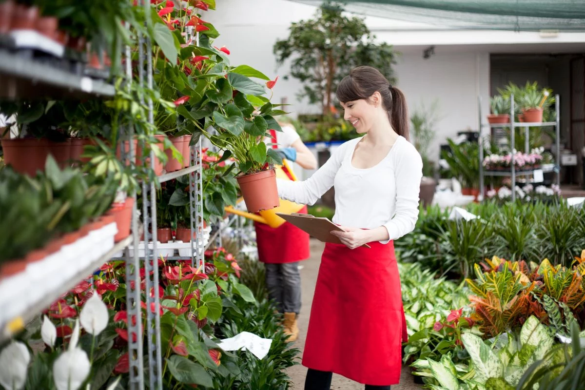 Lojas de Jardinagem e Centros de Casa