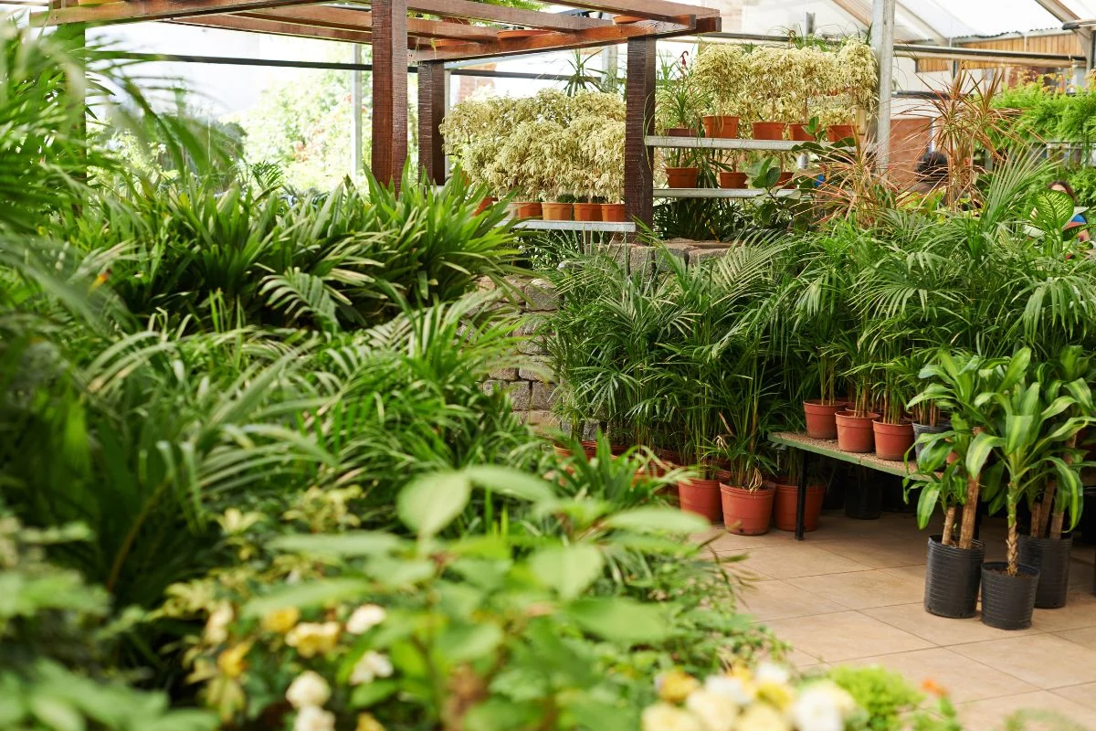 Mercados de Agricultores