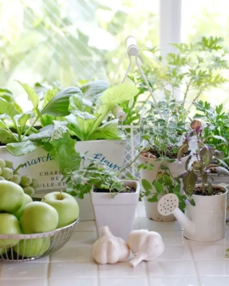 Horta em Apartamento Casa (6)