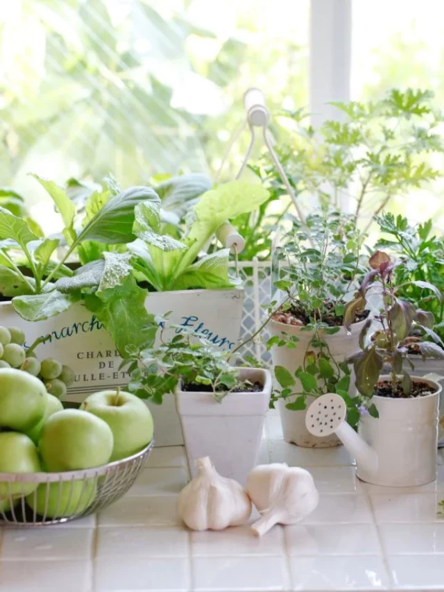 Horta em Apartamento: Transforme sua Varanda em um Oásis Verde e Saboroso