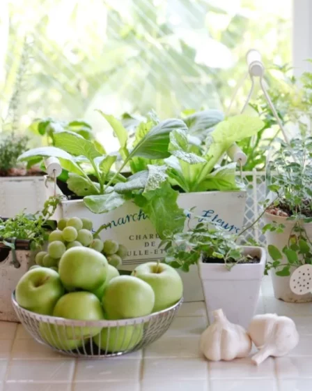 Horta em Apartamento Casa (6)