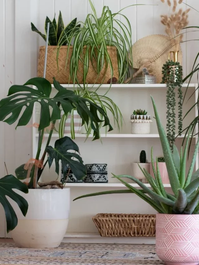 Jardim Vertical Em Espaço Pequeno: 7 Estilos Para Criar Um Moderno e Estiloso