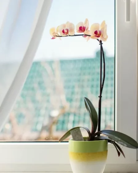 orquideas na decoracao (7)