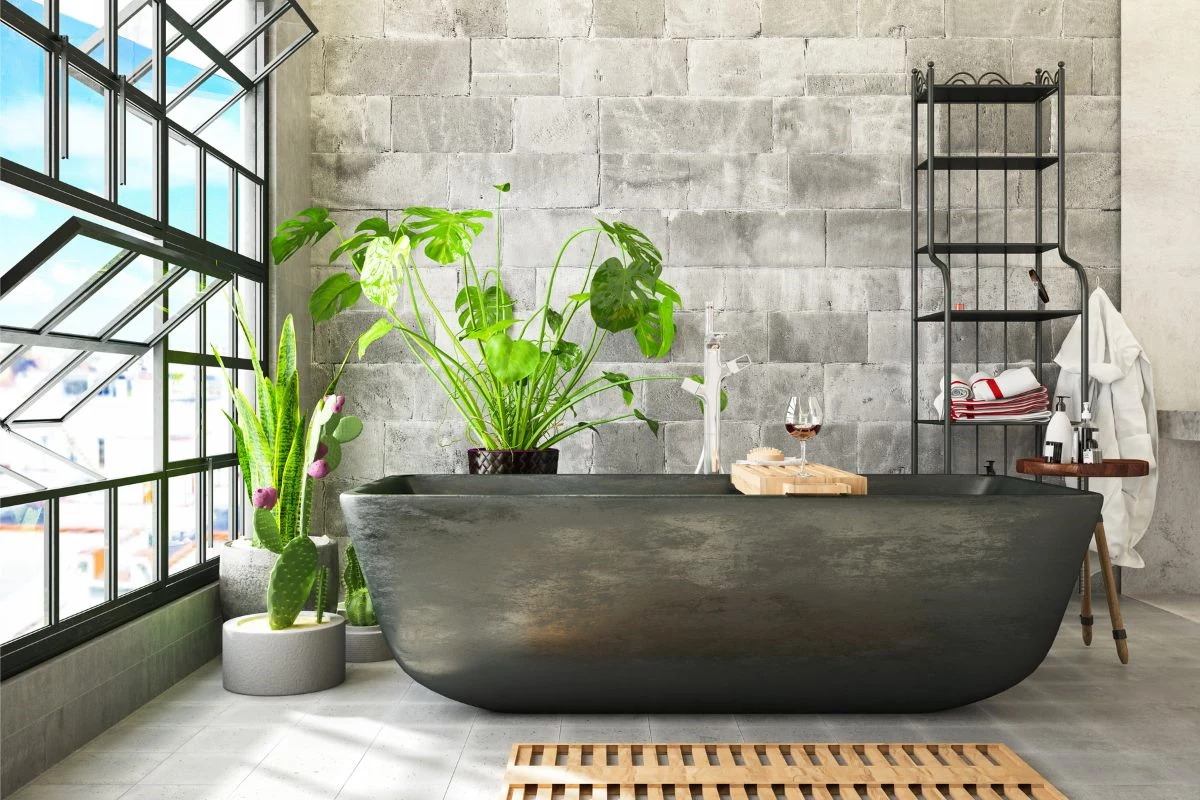 Plantas de Interior